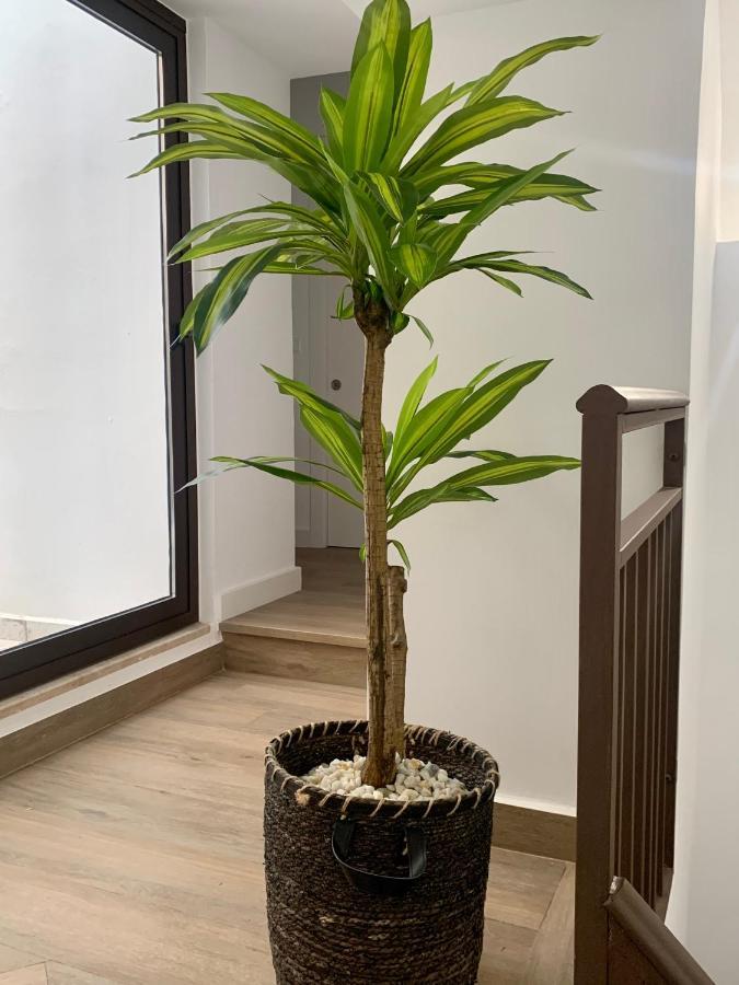 Puerta De Caceres Apartamento 2 Екстериор снимка