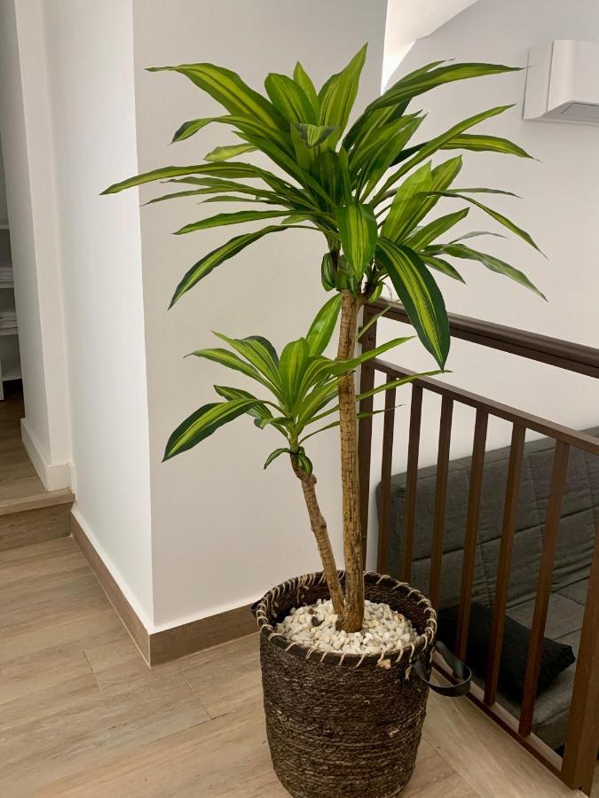 Puerta De Caceres Apartamento 2 Екстериор снимка