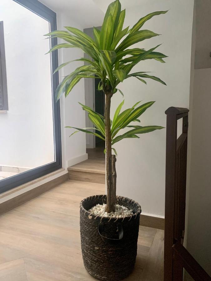 Puerta De Caceres Apartamento 2 Екстериор снимка