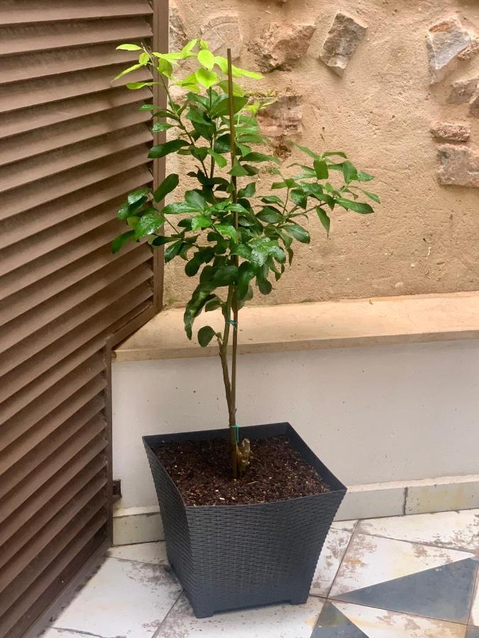 Puerta De Caceres Apartamento 2 Екстериор снимка